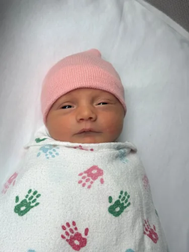 Lucy Jean Cotton